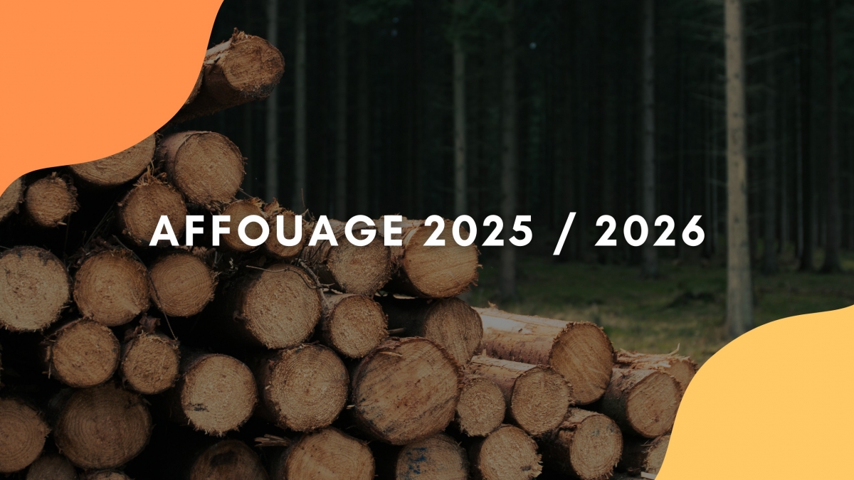 AFFOUAGE 2025 - 2026