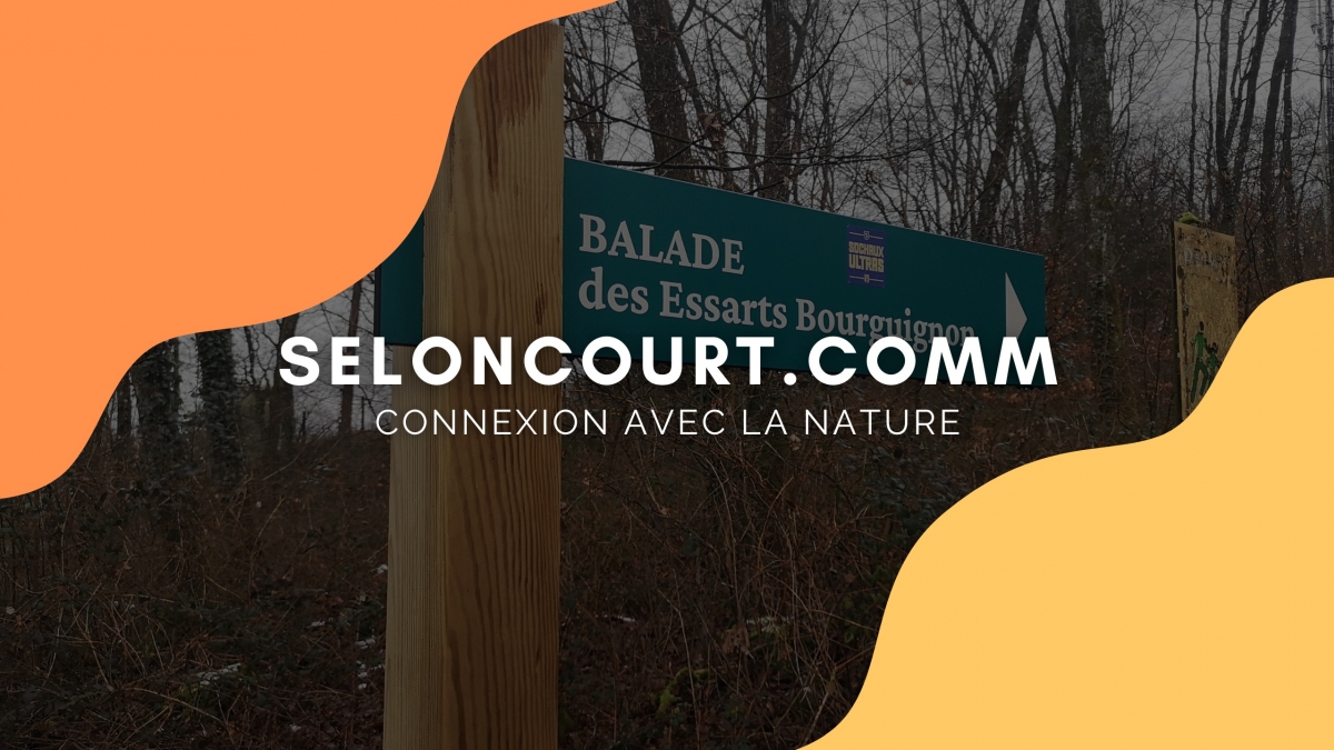 SELONCOURT.COMM&nbsp;: Connexion avec la nature