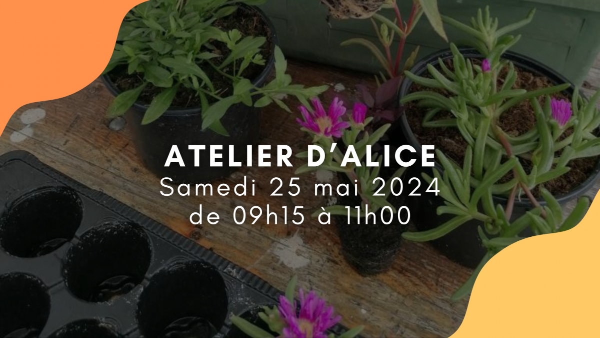 ATELIER D'ALICE