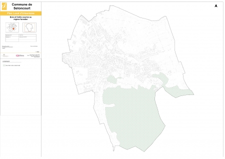 plu plan bois forets 20161004
