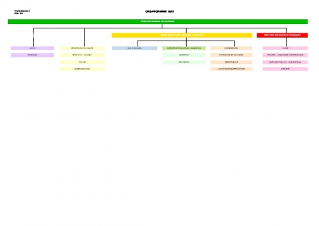 Organigramme des services